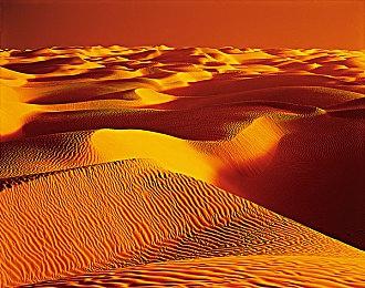 《木卫四协议》开发者探讨如何营造无助与绝望环境