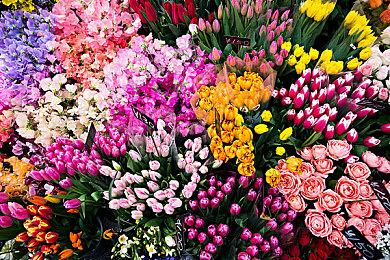 今起预购！2022游戏责任数字藏品来了